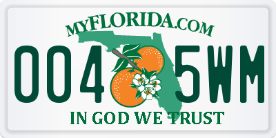FL license plate 0045WM