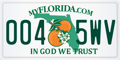 FL license plate 0045WV