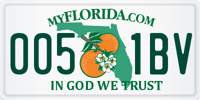 FL license plate 0051BV