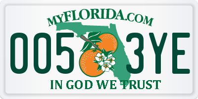 FL license plate 0053YE