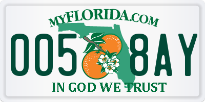 FL license plate 0058AY