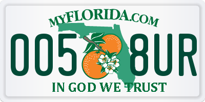FL license plate 0058UR