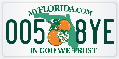 FL license plate 0058YE