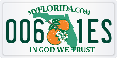 FL license plate 0061ES
