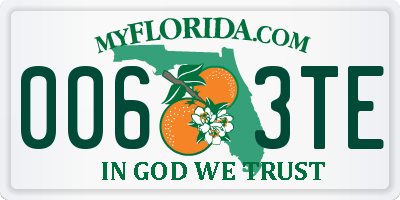 FL license plate 0063TE