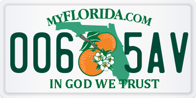 FL license plate 0065AV