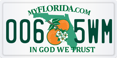 FL license plate 0065WM
