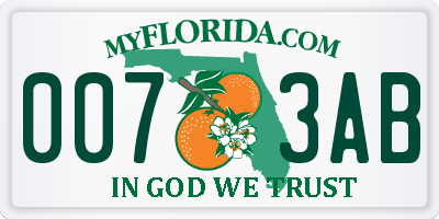 FL license plate 0073AB