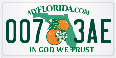 FL license plate 0073AE