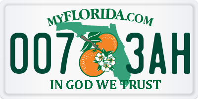 FL license plate 0073AH