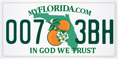 FL license plate 0073BH
