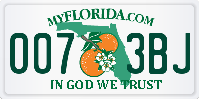 FL license plate 0073BJ