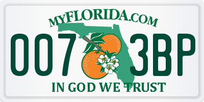 FL license plate 0073BP