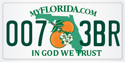 FL license plate 0073BR