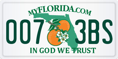 FL license plate 0073BS