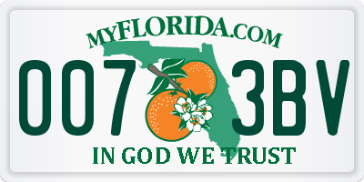 FL license plate 0073BV
