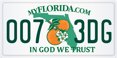 FL license plate 0073DG