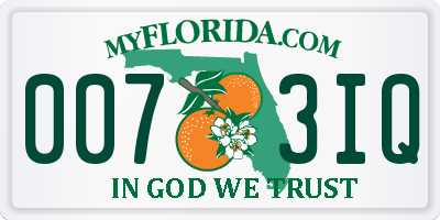 FL license plate 0073IQ