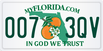 FL license plate 0073QV
