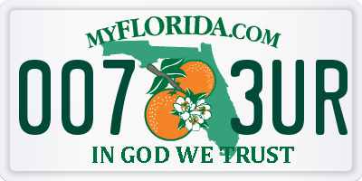 FL license plate 0073UR