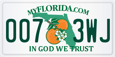 FL license plate 0073WJ