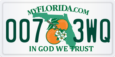 FL license plate 0073WQ