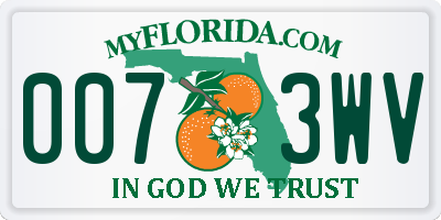 FL license plate 0073WV