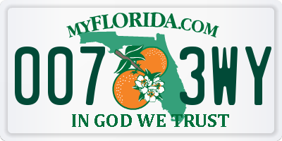 FL license plate 0073WY
