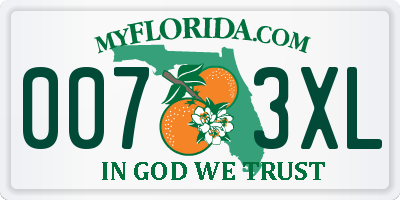 FL license plate 0073XL