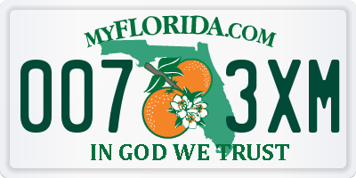 FL license plate 0073XM