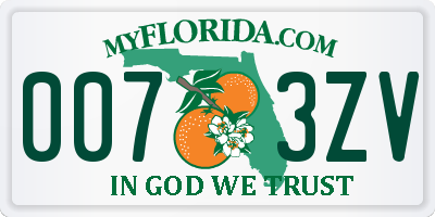 FL license plate 0073ZV
