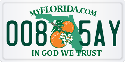 FL license plate 0085AY