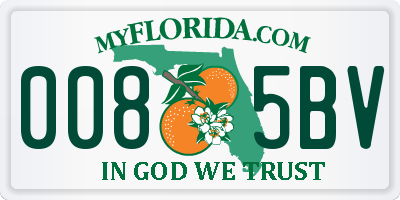 FL license plate 0085BV