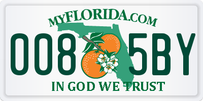 FL license plate 0085BY