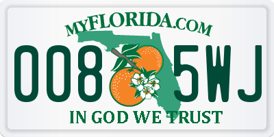 FL license plate 0085WJ
