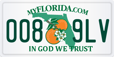 FL license plate 0089LV