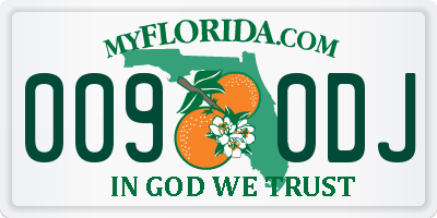 FL license plate 0090DJ
