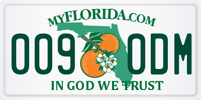 FL license plate 0090DM
