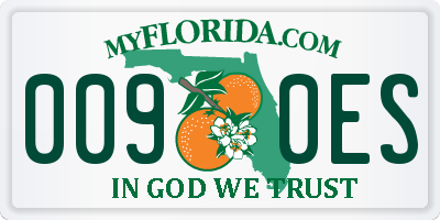 FL license plate 0090ES