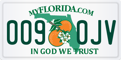 FL license plate 0090JV