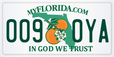 FL license plate 0090YA