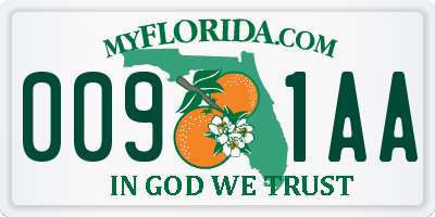 FL license plate 0091AA