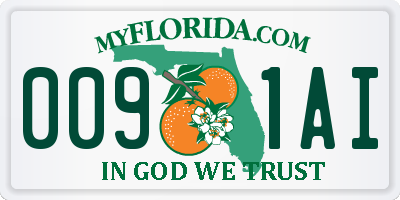 FL license plate 0091AI
