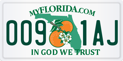 FL license plate 0091AJ