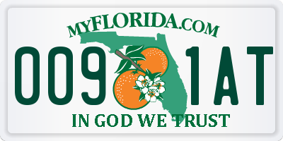FL license plate 0091AT