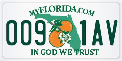 FL license plate 0091AV