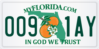 FL license plate 0091AY