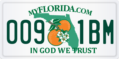FL license plate 0091BM