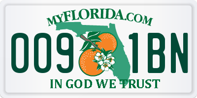 FL license plate 0091BN