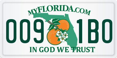 FL license plate 0091BO
